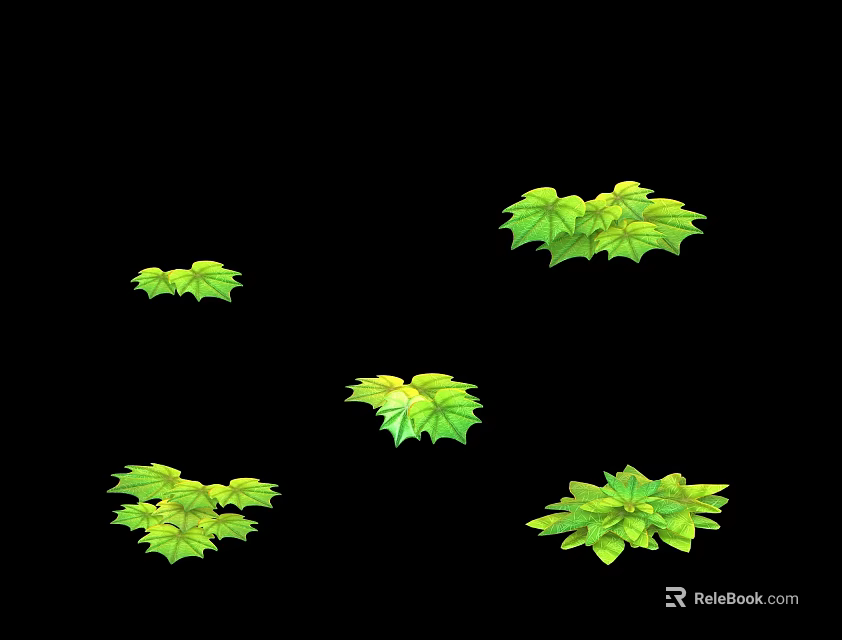 Fresh Green Plant Leaves With Different Shapes And Sizes On Black Background 3d model 