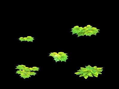 Fresh Green Plant Leaves With Different Shapes And Sizes On Black Background 3d model
