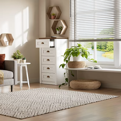 Cozy Living Room With Gray Sofa White Chest Of Drawers Green Plants And Woven Rug 3d model