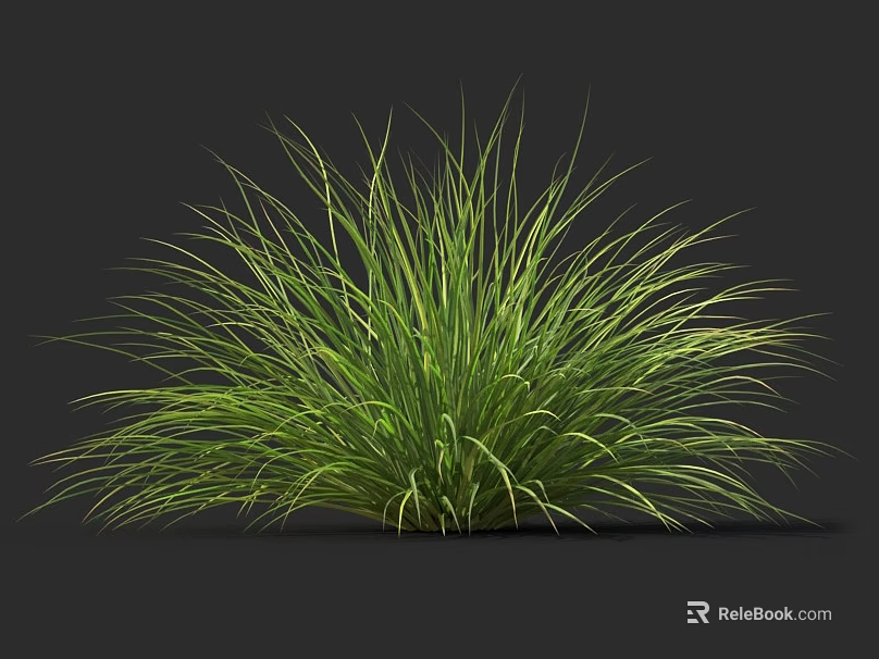 Lush Green Grass With Slender Leaves Against Dark Background Showcasing Vibrant Color And Texture 3d model 