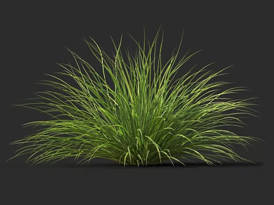 Lush Green Grass With Slender Leaves Against Dark Background Showcasing Vibrant Color And Texture 3d model