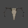 Detailed Deer Skull with Intricate Antlers and Natural Bone Texture