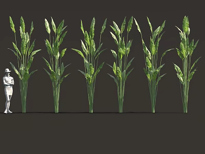Multiple Green Plants Varieties Display With Human Figure On Black Background 3d model