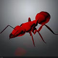 Red Ant 3D Model with Shiny Surface on Gray Gradient Background