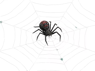 Black Reptile Spider Resting On Intricate Spider Web With Dew Drops 3d model
