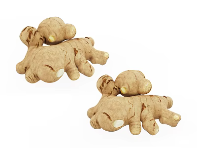 Natural Ginger Shaped Decorative Ornaments Set with Realistic Texture and Brown Color 3d model