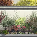 Garden Plant Combination With Red Maple Bamboo Pink Flowers Green Shrubs Stones And White Wall
