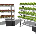 Vertical Growing Racks With Fresh Leafy Vegetables For Indoor Garden Setup 3d model