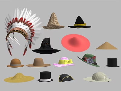 Various Types of Hats Including Feather Decorated Wide Brim Fedora Straw and Conical Styles 3d model