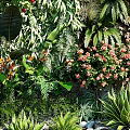 Lush Living Plant Wall Design With Various Green Plants Flowers Pebbles And Wooden Base