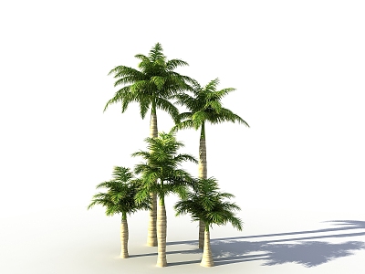 Palm Tree model