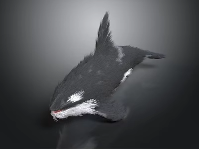 Black And White Bird With Pointed Tail In Flight Against Dark Background 3d model