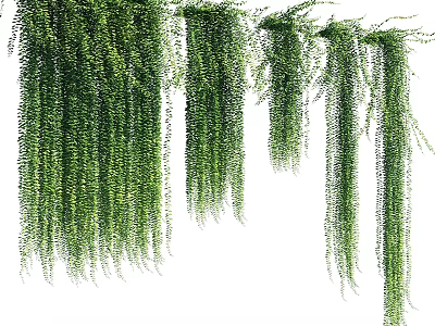 Natural Green Hanging Vines With Lush Trailing Foliage For Decorative Plants 3d model