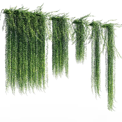 Natural Green Hanging Vines With Lush Trailing Foliage For Decorative Plants 3d model