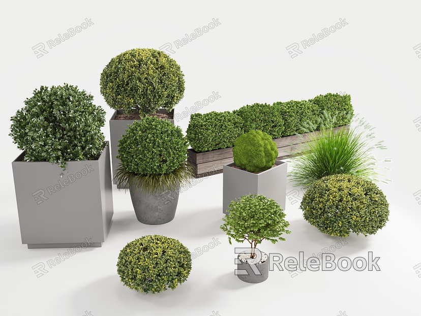 spherical potted plant round green plant landscape landscaping green plant moss ball potted plant model