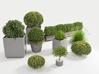 spherical potted plant round green plant landscape landscaping green plant moss ball potted plant 3d model