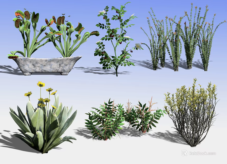 Diverse Collection of Potted Flowers and Green Plants for Garden Decoration 3d model 