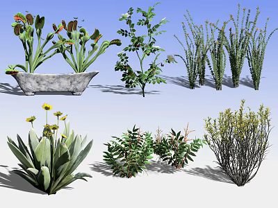 Diverse Collection of Potted Flowers and Green Plants for Garden Decoration 3d model
