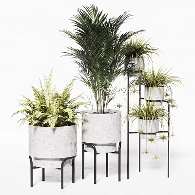 Various Potted Plants With Fern And Palm Greenery In Concrete Planters On Stands 3d model