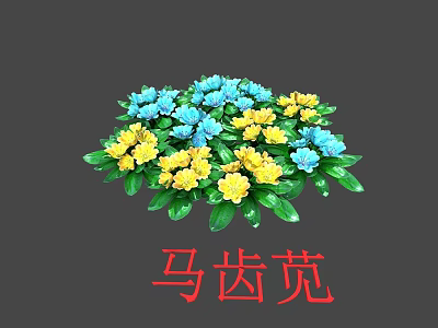 Clustered Portulaca Flowers With Blue And Yellow Blooms And Green Leaves 3d model