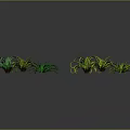 Green and Yellow Curly Leaf Indoor Decorative Plants on Dark Surface