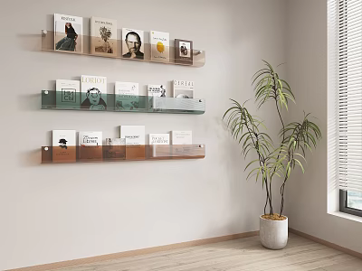 Modern Wall Mounted Shelving Unit With Books Decorative Prints And Potted Plant In Living Room 3d model