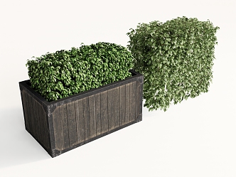 potted plant flowerpot plant box green planting straw 3d model