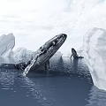 Majestic Humpback Whale Gracefully Swimming In Clear Ocean Water Near Large Icebergs