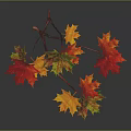 Colorful Autumn Maple Leaves on Branches with Red Yellow Orange Tones