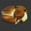 Cozy Red Fox Curled Up Sleeping With Red And White Fur On Dark Background