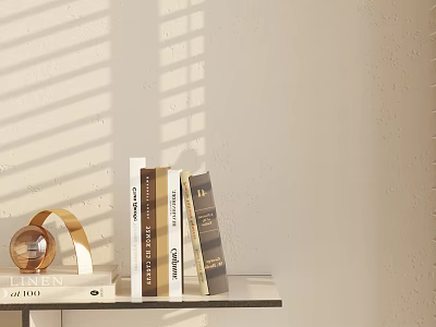 Books and Magazines on Wooden Shelf with Sunlight Shadows Linen Label and Round Decor 3d model