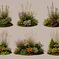 Diverse Garden Plant Combinations With Mixed Flowers Grasses And Foliage