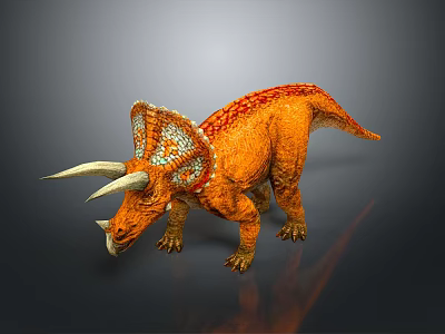 Realistic Orange Triceratops Dinosaur With White Horns And Colorful Frill 3d model