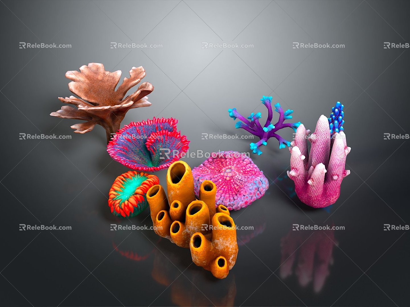 Coral Red Coral White Coral Blue Coral Gold Coral Black Coral Ball Coral Grass Coral Fine Finger Anemone 3d model