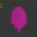 Fresh Spiky Durian Fruit with Brown Outer Shell and Tropical Ripe Appeal