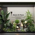 Serene Natural Indoor Landscape Interior Design With Lush Green Plants And Decorative Elements