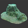 Tree Stump With Rough Surface Covered In Green Moss And Natural Ground Cover