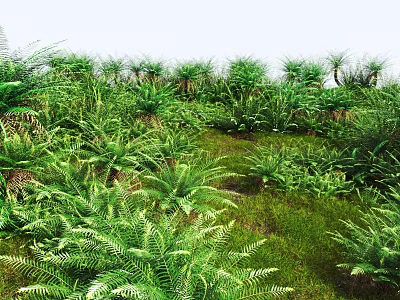Lush Green Shrubs In Natural Landscape With Dense Ferns And Vegetation 3d model