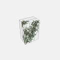 Lush Green Vines Climbing White Grid Frame On Interior Wall With Decorative Foliage