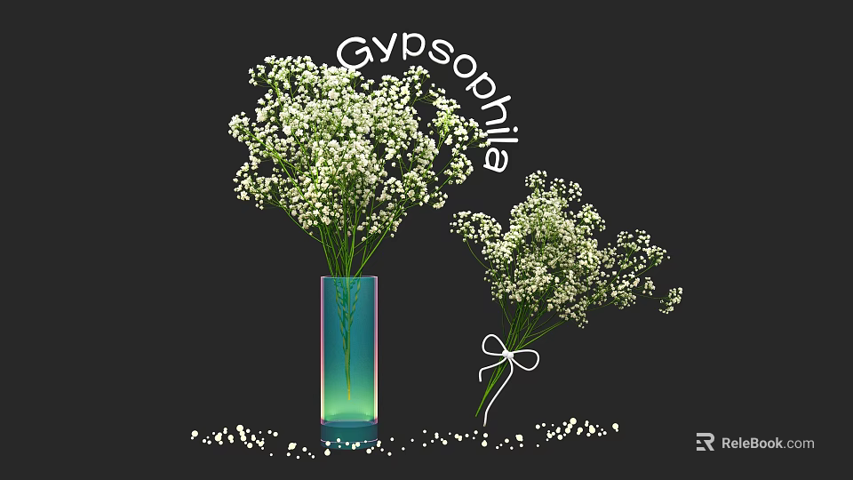 Gypsophila Flowers in Gradient Vase and Tied Bouquet with Scattered Petals 3d model 