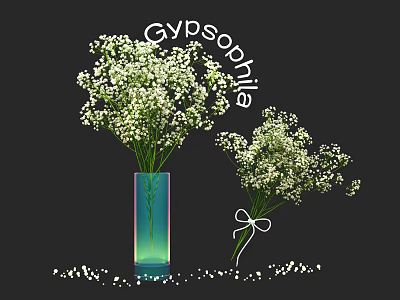 Gypsophila Flowers in Gradient Vase and Tied Bouquet with Scattered Petals 3d model