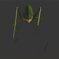 Green Insect With Slender Body And Long Antennae On Smooth Surface Dark Background Reflection