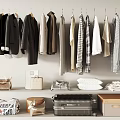 Hanging Clothes in Organized Wardrobe Display with Bags Suitcases Folded Clothes and Storage Boxes