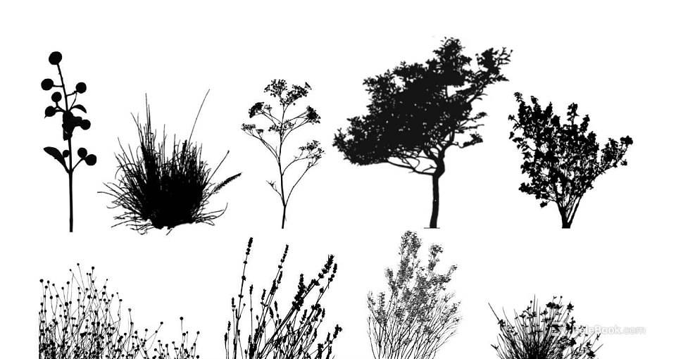 Natural Flower and Plant Silhouettes in Various Garden Design Styles 3d model 