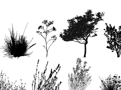 Natural Flower and Plant Silhouettes in Various Garden Design Styles 3d model