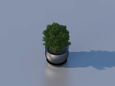 Bonsai Plant With Green Foliage In Silver Metallic Pot For Indoor Decor 3d model