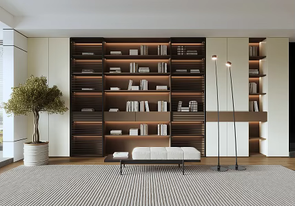 Modern bookcase 3d model