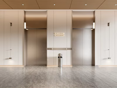 Modern Elevator Hallway Design With Sleek Doors Recessed Lighting And Polished Floor 3d model