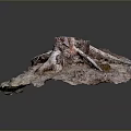 Detailed Natural Tree Stump Featuring Exposed Roots And Moss Covered Rough Surface
