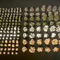 Assorted Wood and Stone Samples Showcasing Rich Textures and Color Variations